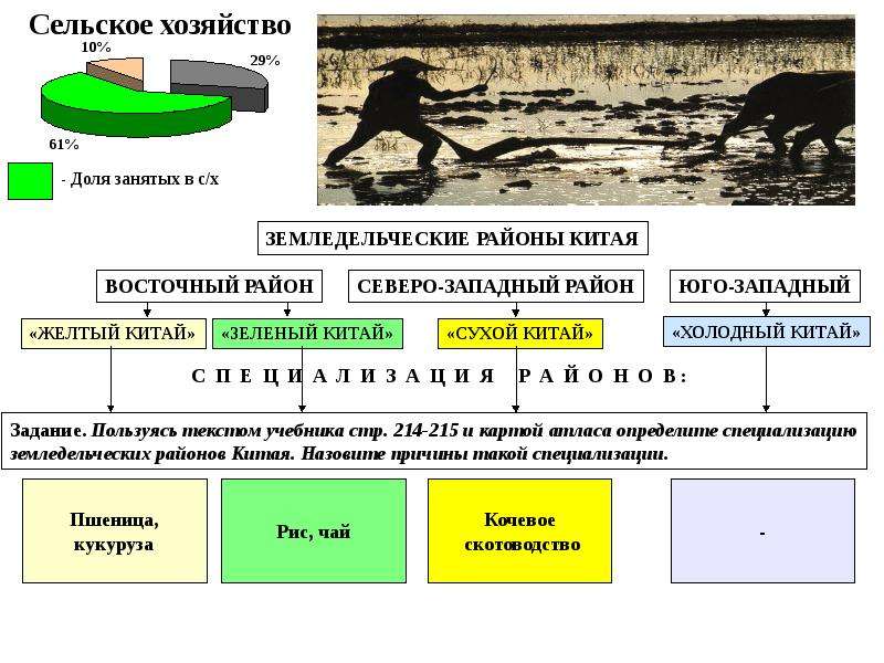 Желтый китай. Структура сельского хозяйства Китая таблица. Специализация сельского хозяйства Китая. Основные районы специализации сельского хозяйства Китая. Сельское хозяйство Китая таблица.