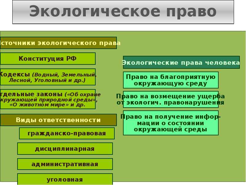 Экологические права и способы их защиты план егэ