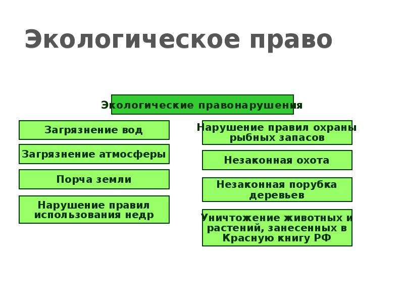 Экологические права и способы их защиты план егэ