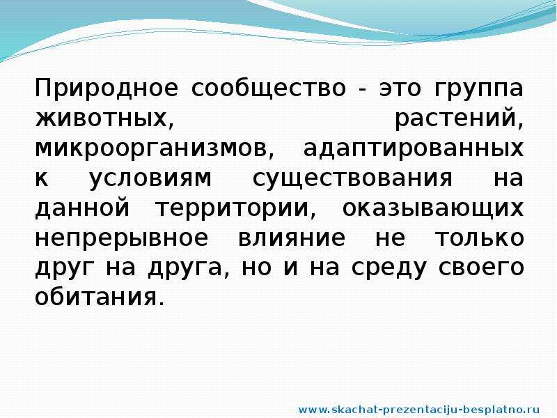 Почему лес называют сообществом рассказ суждение