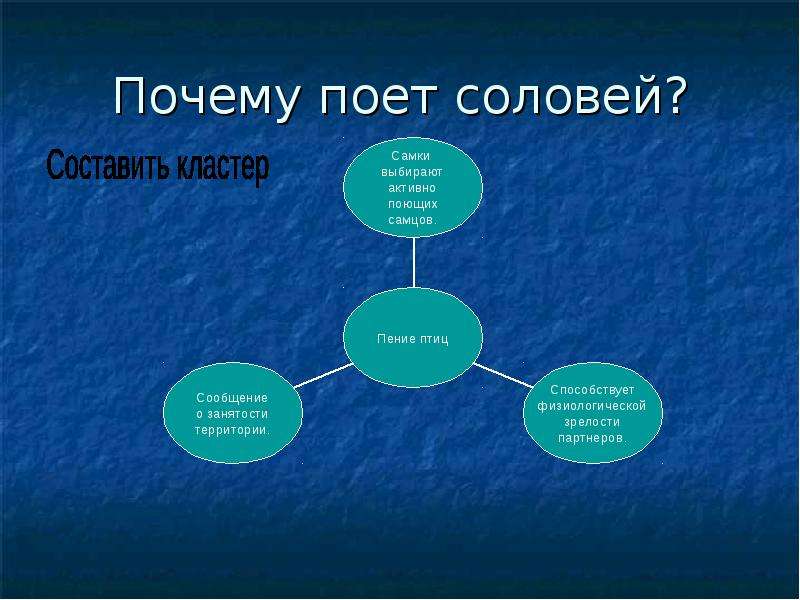 Почему пение. Почему поет Соловей. Кластер Соловей. Кластер на тему птицы. Составить кластер Свободный человек.