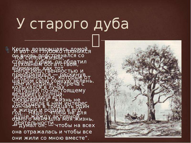 Старый дуб болконский. Рассказ старого дуба. Дуб Толстого в войне и мире. Сочинение про старый дуб.
