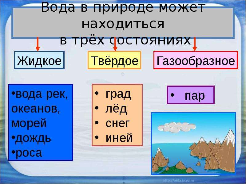 Презентация окружающий мир 2 класс