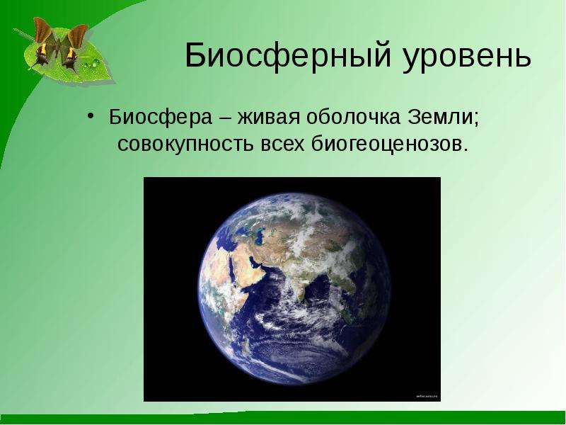 Живая оболочка земли. Биосферный уровень. Биосферный уровень жизни. Биосферный уровень организации. Биосферный уровень живого.