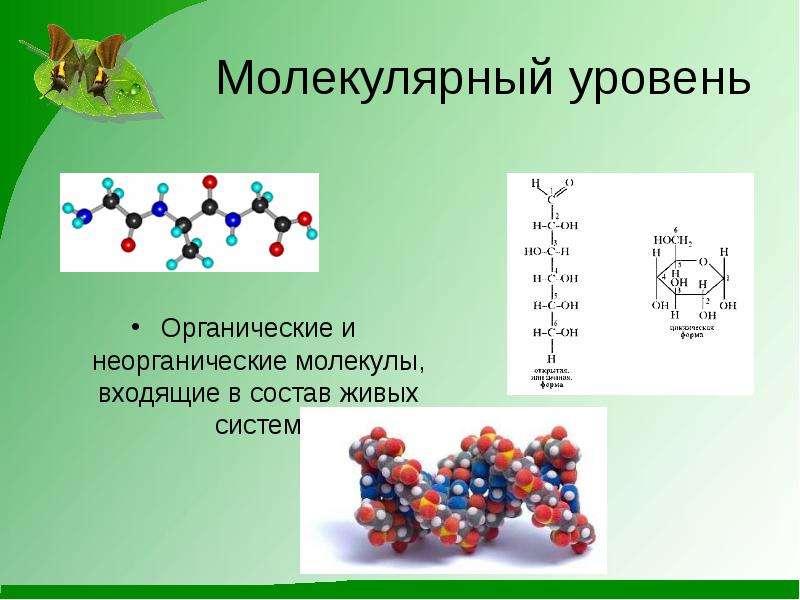 Молекулярный уровень компоненты. Молекулярная организации уровень организации жизни. Молекулярный уровень. Молекулярный уровень организации жизни. Молекулярный уровень жизни.