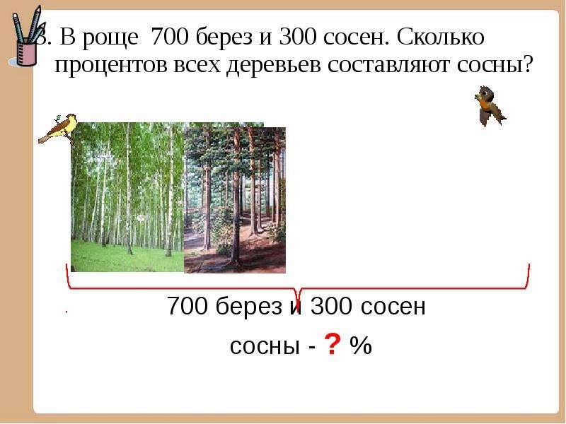 Сколько процентов деревьев. В роще 700 берёз и 300 сосен. Задача про березу и сосну. Задача про сосны. Задача про сасну и берёзу.