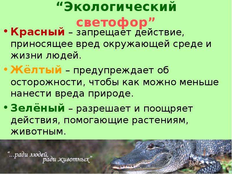 Экологический светофор. «Экологический светофор» (Автор и.в. Цветкова). Игра экологический светофор. Экологический светофор для дошкольников.