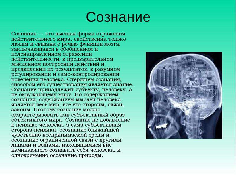 Сознание и мозг в философии презентация