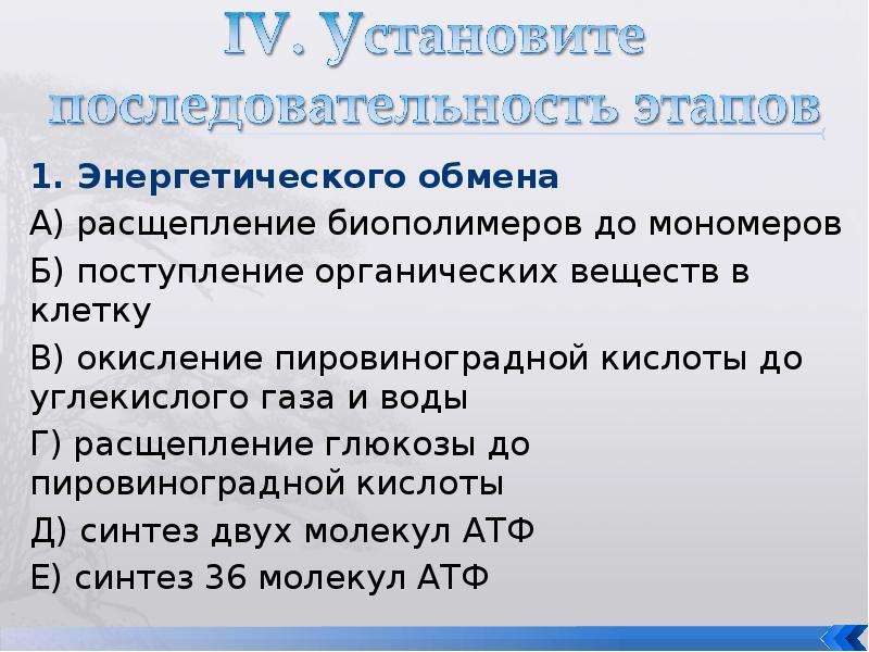 Последовательность энергетического обмена. Последовательность этапов энергетического обмена. Установите последовательность этапов энергетического обмена. Последовательность процессов энергетического обмена в организме. Расщепление биополимеров до мономеров.