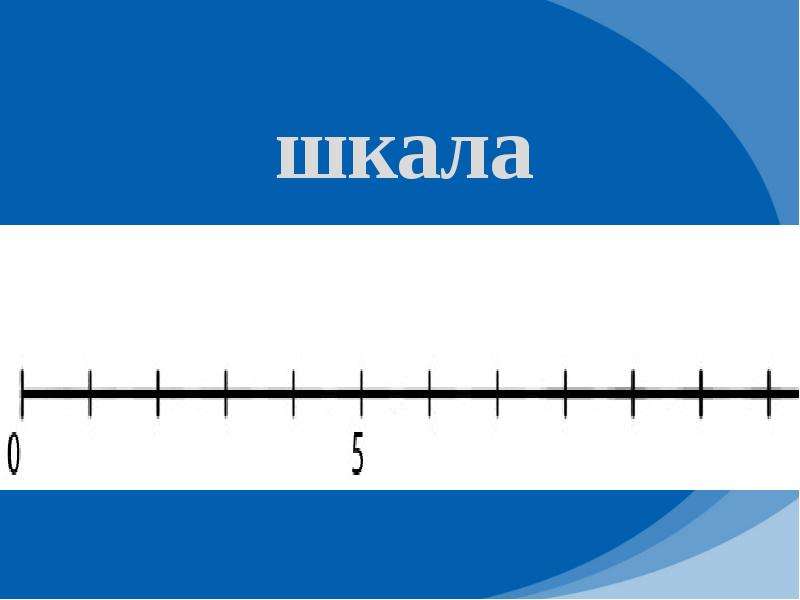 Координаты 5 класс. Шкалы и координаты 5 класс. Нарисовать шкалу. Шкалы и координаты 5 класс проект. Триажные шкалы.