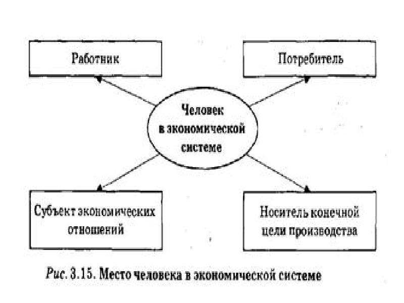 Роль личности в экономике проект по экономике