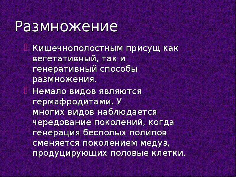 Каким способом размножаются кишечнополостные. Кишечнополостные размножаются. Кишечнополостные размножаются путём. Подцарство многоклеточные Тип Кишечнополостные. Бесполое размножение кишечнополостных.