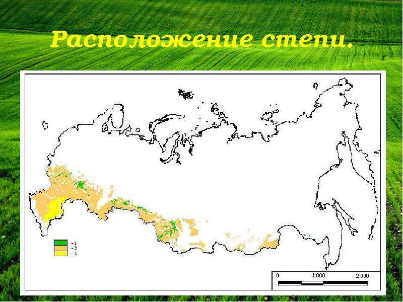 Нанесите на контурную карту лесостепную и степную. Географическое положение степи в России на карте. Зона степей на карте России. Степи и лесостепи на карте России. Расположение степей в России на карте.
