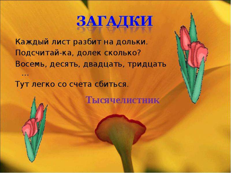 Загадка стоят в поле. Загадка про одуванчик. Стоит он задумчивый в желтом венце темнеют веснушки на круглом лице. Загадки про венок. Загадки про одуванчик 2 класс.