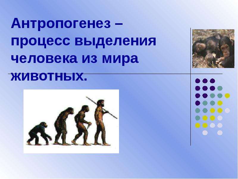 Антропогенез процесс. Антропогенез процесс выделения человека из мира животных. Антропогенез процесс выделения человека. Эволюция человека. Эволюция человека движущие силы антропогенеза.