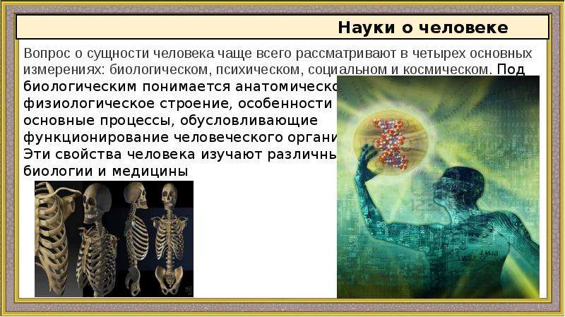 Происхождение и природа человека, слайд №17