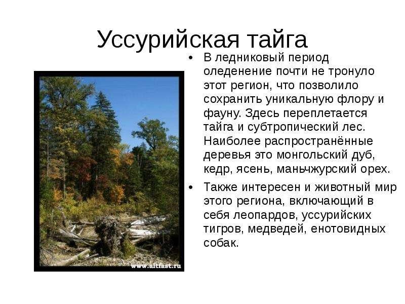 Составь план пересказа текста об исследовании уссурийской тайги и приморья в к арсеньевым