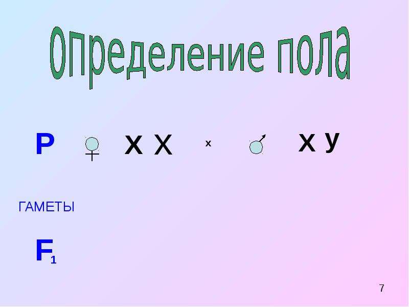 9 пол 10. Ребусы на тему генетика пола. Генетика пола ребус. Формула для нахождения числа гамет.