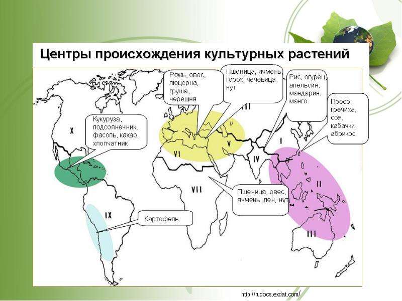 Карта центры происхождения растений