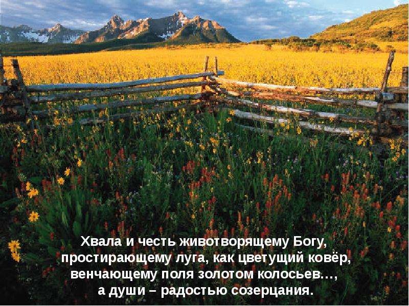 Всякое дыхание. Хвала Богу. Честь и хвала. Честь и хвала фото. Слава и хвала Богу.