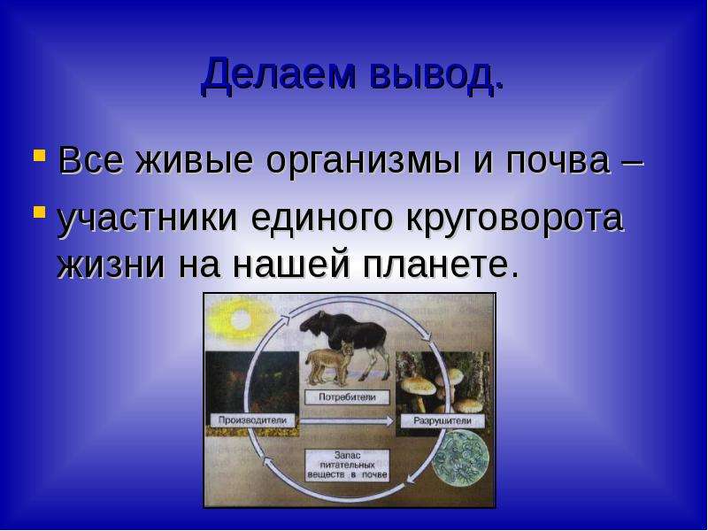 Презентация круговорот жизни 3 класс окружающий мир. Все живые организмы и почва участники единого. Участники единого круговорота веществ на нашей планете. Рисунок на тему большой круговорот жизни. Модель круговорота жизни 3 класс окружающий мир.