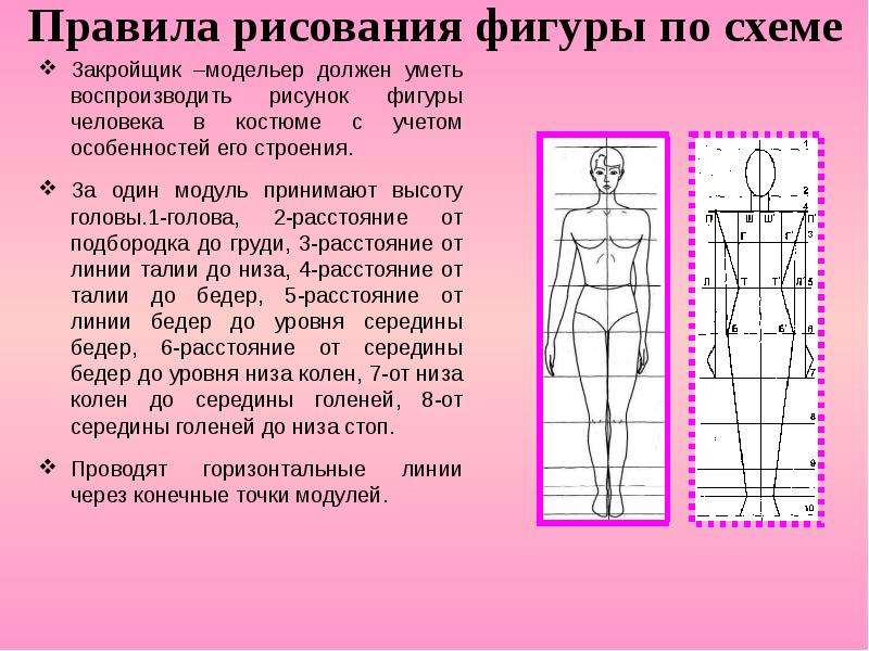 Высоте почему мы видим фигуры человека такими. Правила рисования фигур. Фигура женская правила построения. Правила рисования фигуры по схеме. Схема одежды по фигуре.