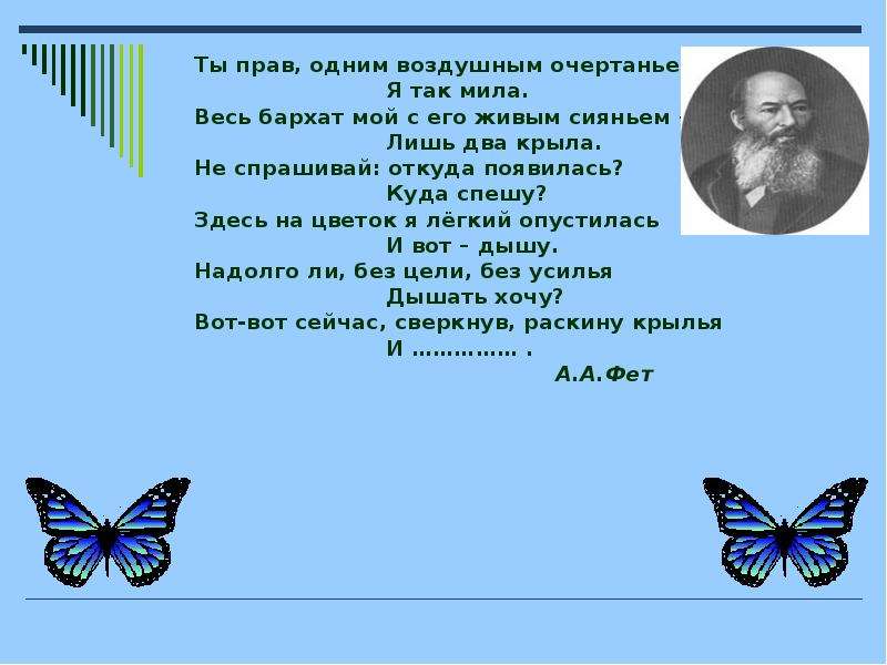 Лишь два. Ты прав одним воздушным очертаньем. Фет ты прав одним воздушным очертаньем. Стих бабочка ты прав одним воздушным очертаньем. Стихотворение Фета ты прав одним воздушным очертаньем.