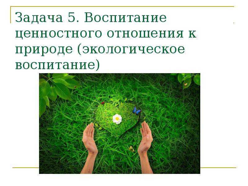 Ценностное отношение к природе. Нравственное отношение к природе. Воспитание ценностного отношения к природе окружающей среде задачи. Ценности экологического воспитания. Экология отношений.