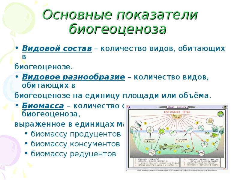 Биогеоценоз 6 класс биология презентация