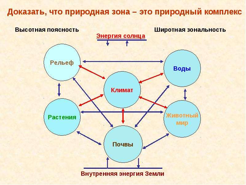 Разнообразие природы земли широтная зональность и высотная поясность 7 класс презентация