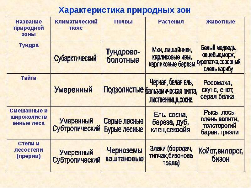 Особенности природы северной америки 7 класс презентация