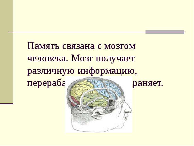 Связанная память. Сколько памяти в мозге человека. Что связывает память человека. Предложения связано с памятью. С работой органов чувств связана память.