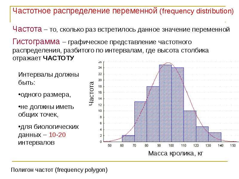 Диаграммы распределения данных 7 класс