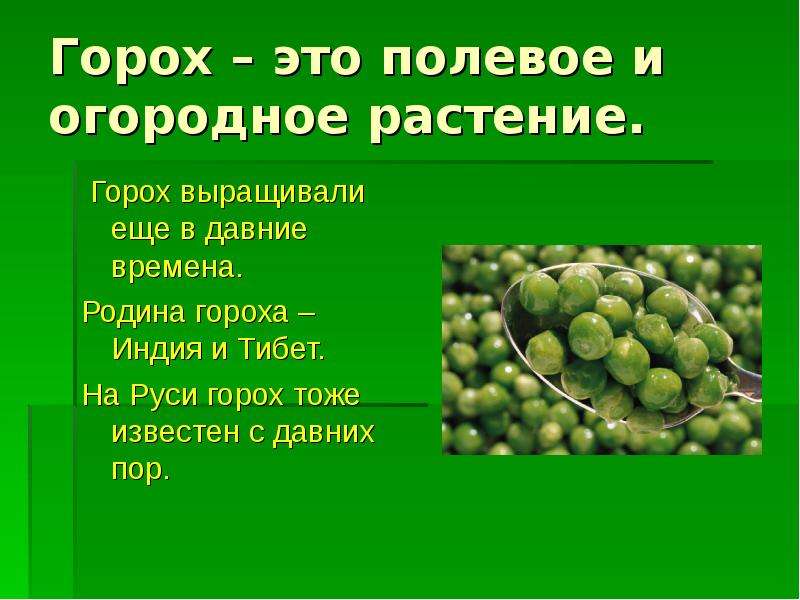 Презентация про горох