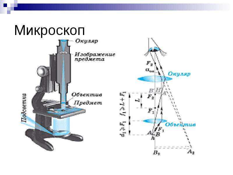 Схема лучей в микроскопе