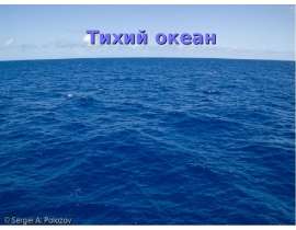 Тихий океан