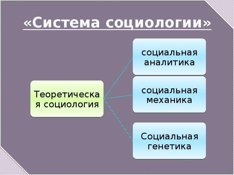 Деятельность п. Система социологии. Система социологии 1920. Система социологии п Сорокина. Подсистема в социологии.