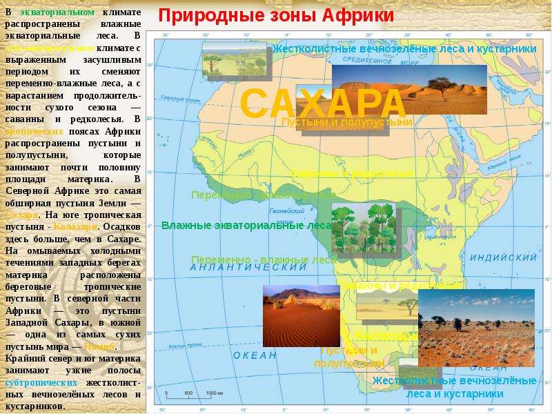 Презентация по географии на тему африка