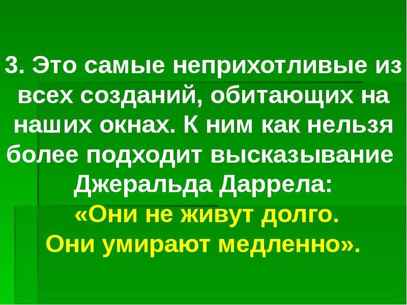 Более невозможно. Неприхотливый человек.