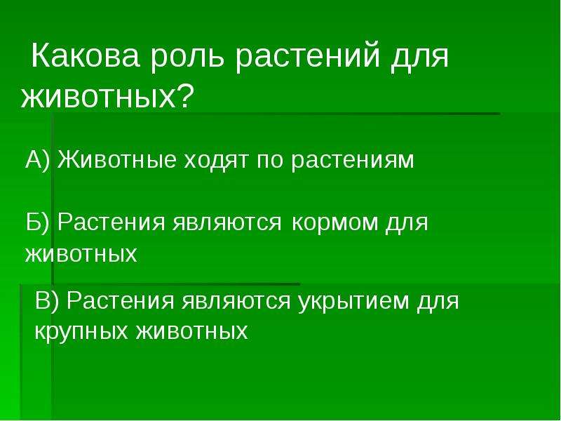 Что дают растения. Что дают животные растениям. Что дают растения для животных. Что дают растения животным и человеку. Что дают животные человеку 3 класс.