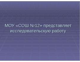 МОУ «СОШ №12» представляет исследовательскую работу