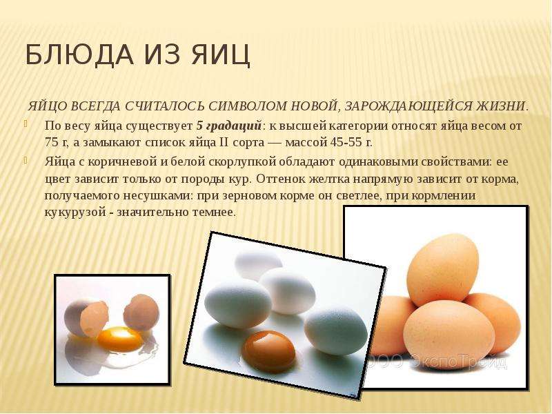 Как правильно выбирать яйца. Доклад на тему яйца. Интересные факты о яйцах куриных. Презентация на тему яйца продукты. Доклад про яйца.