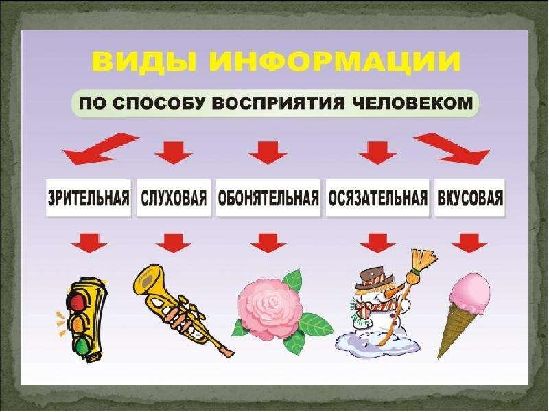 Продумайте какими графическими образами. Виды информации по способу восприятия. Способы восприятия информации человеком. Способы восприятия информации Информатика. Виды информации по способу её восприятия человеком.