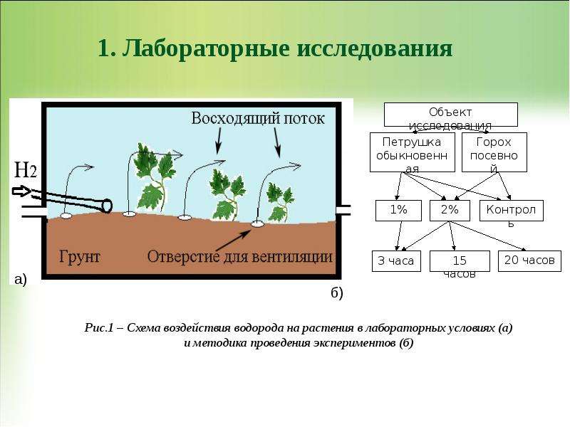 Исследование влияния. Лабораторная работа 