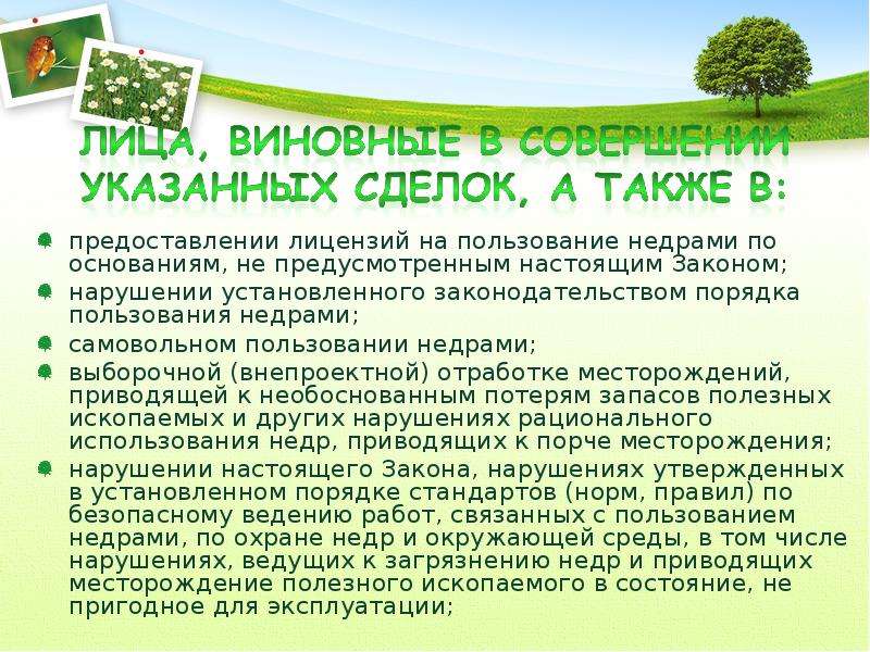 Законодательство о недрах в ведении. Ответственность за нарушение законодательства о недрах. Пользование недрами. Виды ответственности за нарушение законодательства о недрах. Закон о недрах картинки.