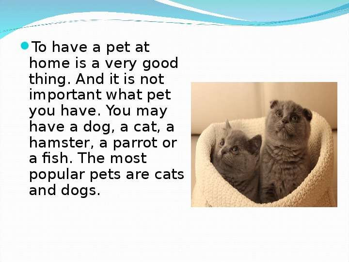 



To have a pet at home is a very good thing. And it is not important what pet you have. You may have a dog, a cat, a hamster, a parrot or a fish. The most popular pets are cats and dogs.
