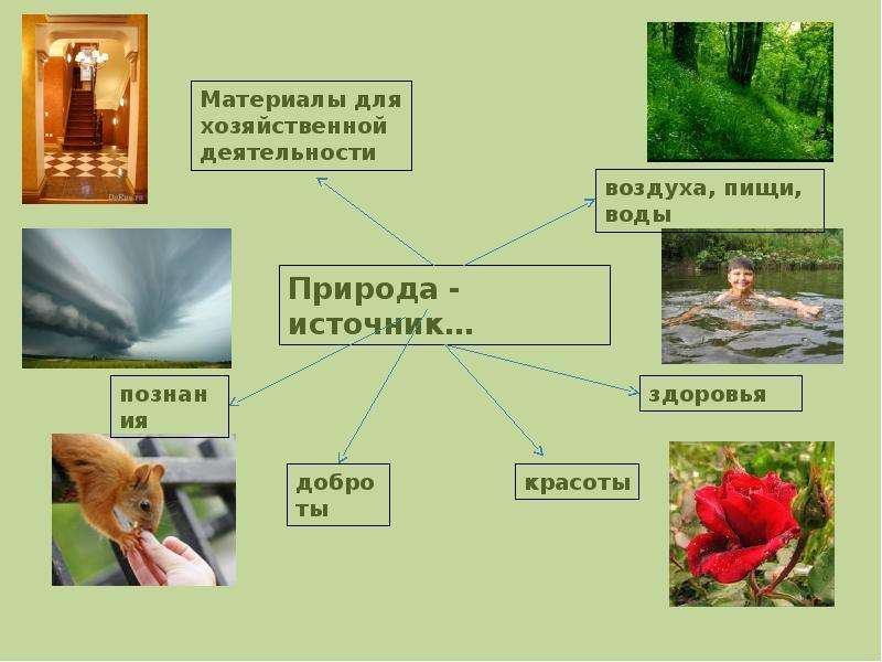 Функции в окружающем мире презентация