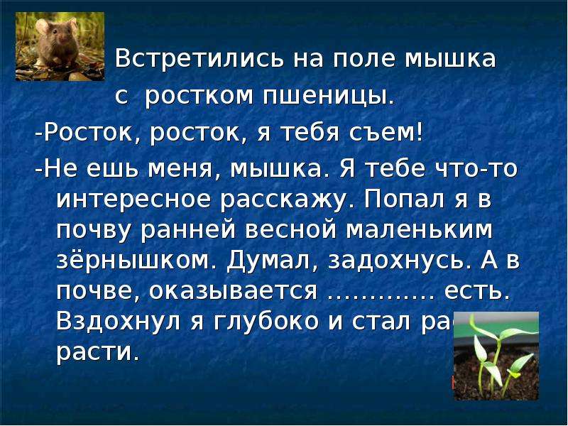 Основные сведения о почвах краснодарского края