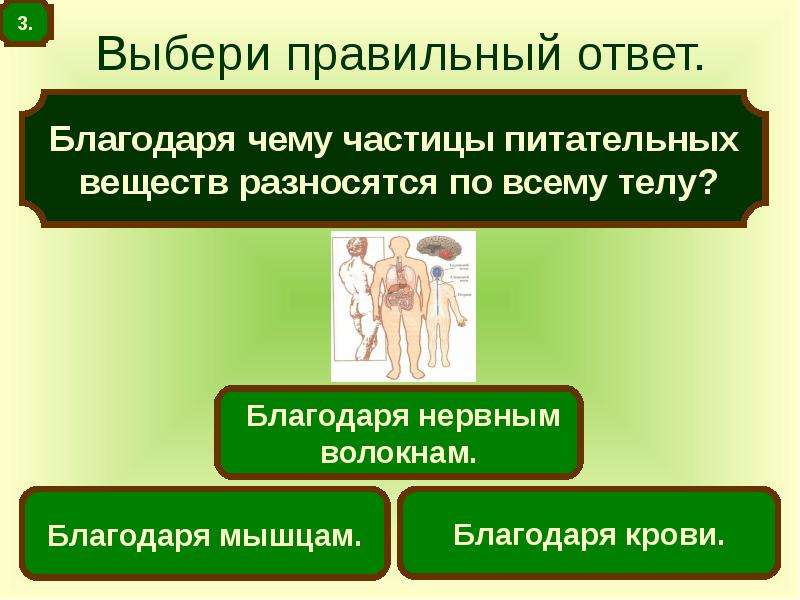 Благодаря чему. Благодаря чему частицы питательных веществ разносятся по всему телу. Благодаря чему питательные вещества разносятся по организму. Питательные вещества разносятся по всему телу. Благодаря чему частицы питательных веществ разносятся по организму.