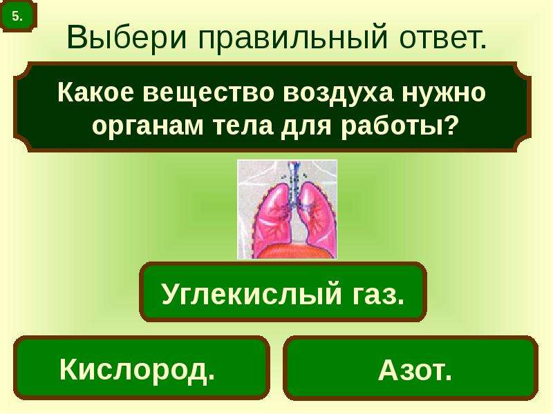 Обязательные органы. Какое вещество нужно органам тела для работы. Какое вещество воздуха нужно органам тела для работы. Какой ГАЗ необходим органам для работы. Какой ГАЗ необходим органам для работы ответ.